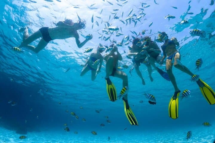Hurghada Dolphin Watching & Snorkeling Trip — Red Sea Boat Tour with Lunch photo 2