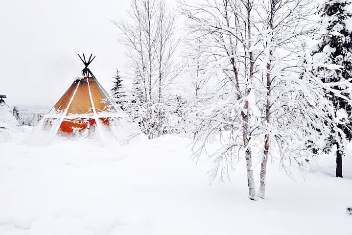 Northern Lights Hunting Expedition in Rovaniemi — Aurora Chase by Minivan photo 4