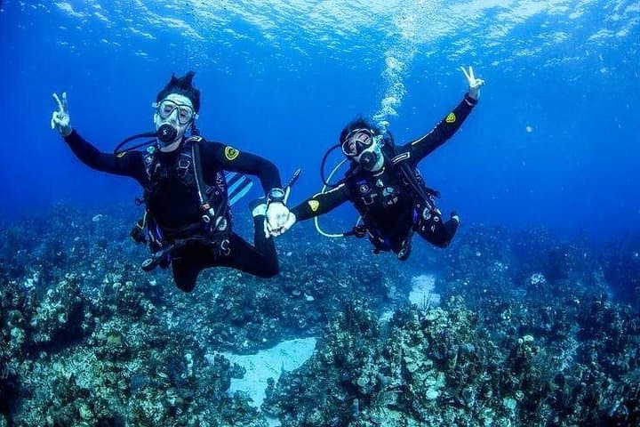 Marsa Mubarak Full-Day Intro Dive and Snorkel Trip — Marsa Alam Red Sea photo 4