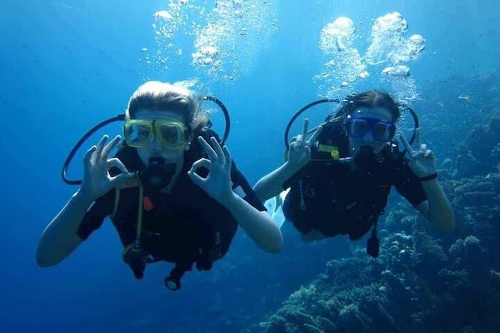 Hurghada Speedboat to Hula Hula Island with Two Diving Stops photo 2