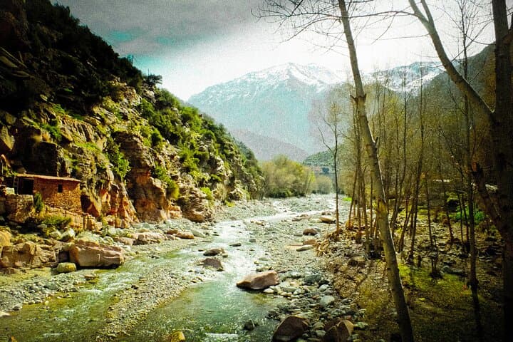 Explore Morocco’s Atlas Mountains: Full-Day 4WD Adventure Through The 3 Valleys from Marrakech photo 5