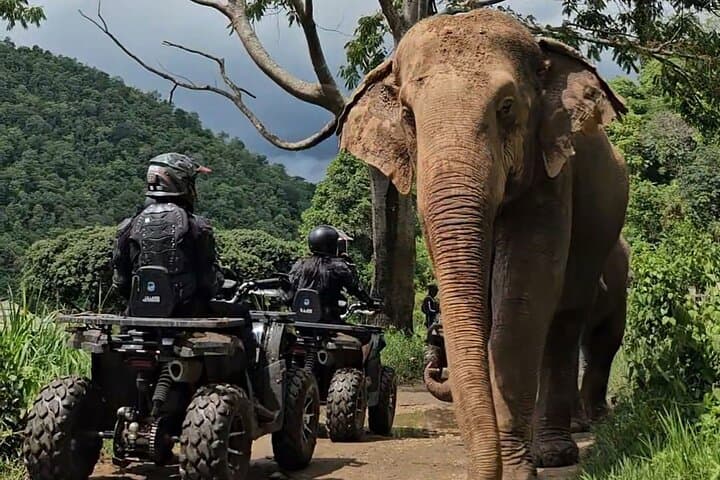 Chiang Mai Sticky Waterfall ATV Tour: Mae Taeng Ride, Scenic Café & Bua Thong Climb photo 4