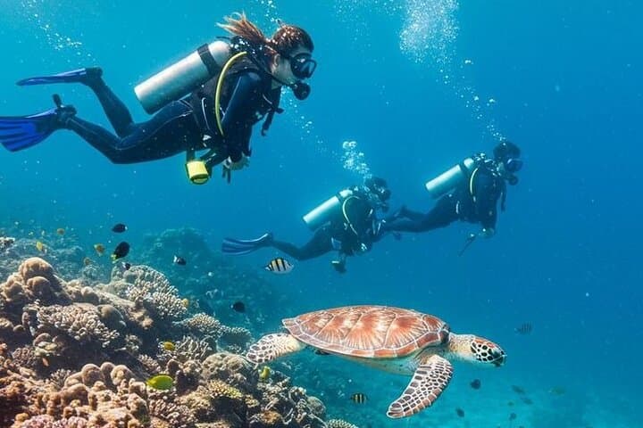 Marsa Mubarak Full-Day Intro Dive and Snorkel Trip — Marsa Alam Red Sea photo 3