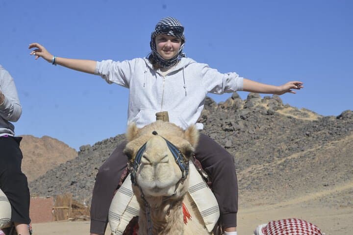 One-Hour Camel Ride in Marsa Alam Desert — Authentic Bedouin Experience photo 2