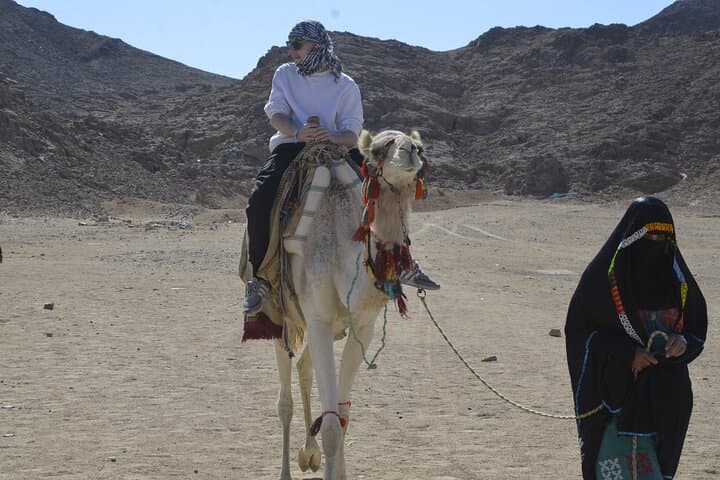 One-Hour Camel Ride in Marsa Alam Desert — Authentic Bedouin Experience photo 5