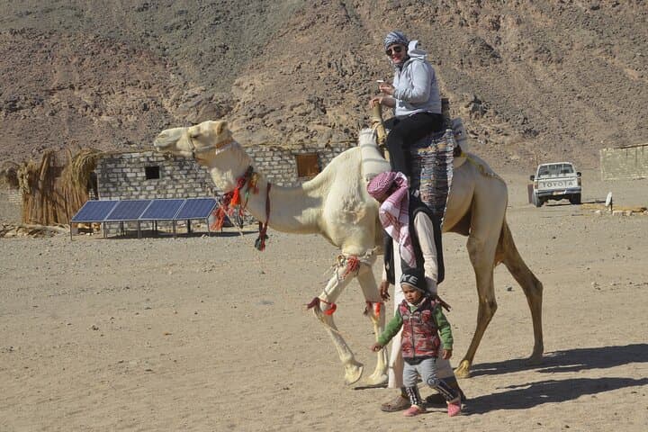 One-Hour Camel Ride in Marsa Alam Desert — Authentic Bedouin Experience photo 6