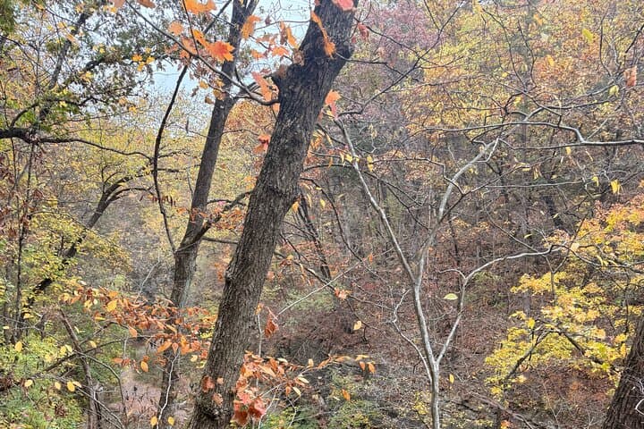 Guided Hike Through Starved Rock and Matthiessen State Parks — Canyons, Waterfalls, and Lodge Dinner photo 2
