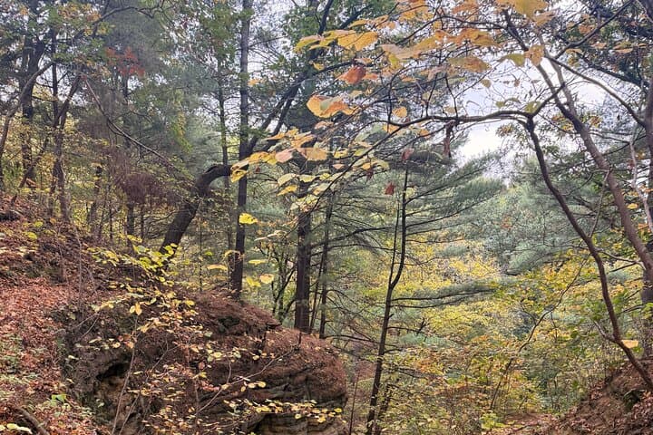 Guided Hike Through Starved Rock and Matthiessen State Parks — Canyons, Waterfalls, and Lodge Dinner photo 3