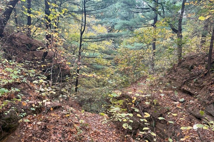 Guided Hike Through Starved Rock and Matthiessen State Parks — Canyons, Waterfalls, and Lodge Dinner photo 4