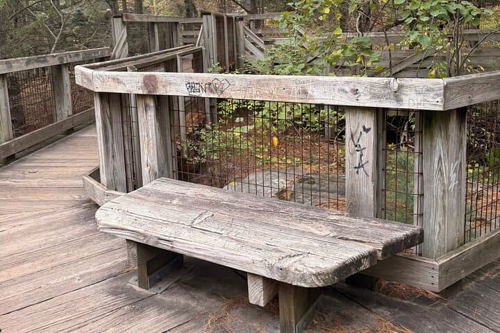 Guided Hike Through Starved Rock and Matthiessen State Parks — Canyons, Waterfalls, and Lodge Dinner photo 5