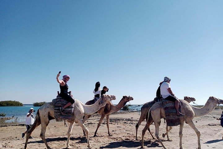2-Hour Camel Ride in Marsa Alam Desert: Bedouin Trails & Scenic Dunes photo 3