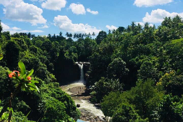 Bali Shore Excursion from Benoa Port — Ubud Temples, Waterfall & Rice Terraces in a Day photo 4