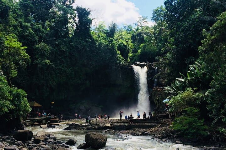 Bali Shore Excursion from Benoa Port — Ubud Temples, Waterfall & Rice Terraces in a Day photo 5