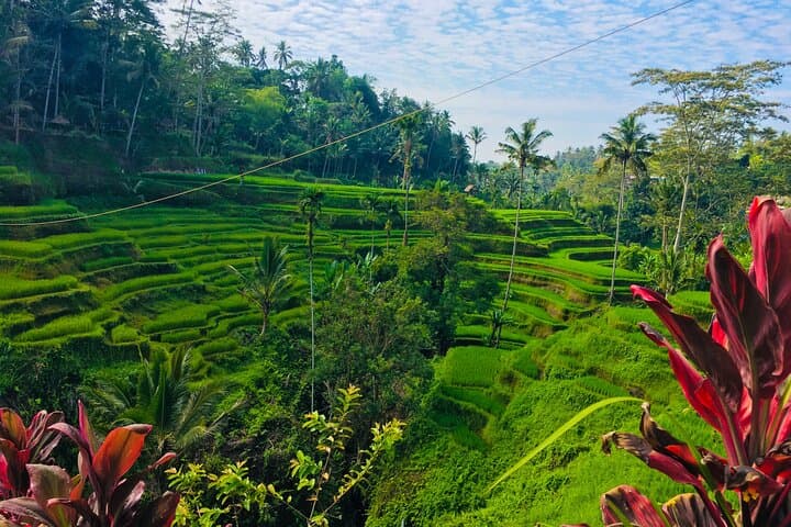 Bali Shore Excursion from Benoa Port — Ubud Temples, Waterfall & Rice Terraces in a Day photo 6