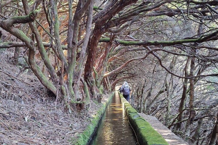 Private Madeira Hiking Tour: Levadas, Mountains & Coastal Trails from Funchal photo 1
