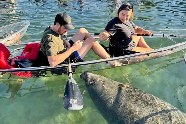 Crystal River Clear Kayak Tour to Three Sisters Springs — Manatee Viewing & Free Photos photo 1