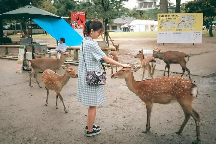 2-Day Kyoto and Nara Private Cultural Tour — Temples, Markets & Deer photo 2