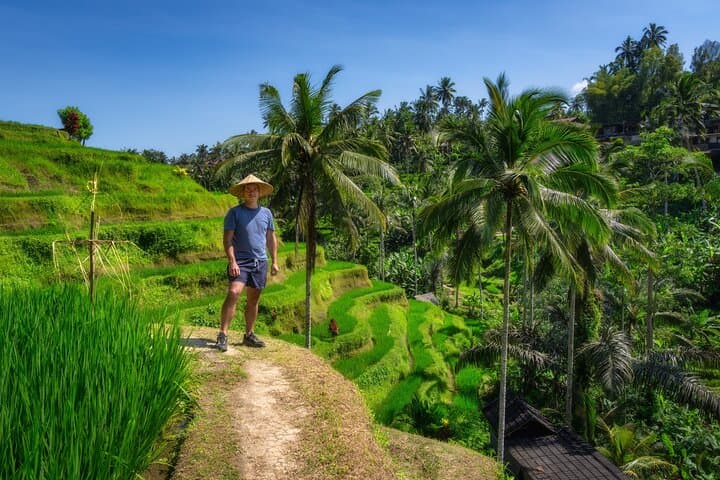 Explore Ubud: Private Full-Day Cultural & Nature Tour to Rice Terraces, Temples & Monkey Forest