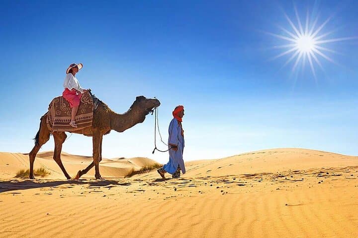 Agadir Mini Sahara: Full-Day Berber Dunes & Coastal Oases Tour photo 2