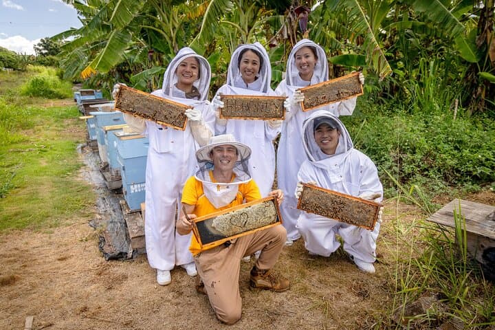 Bee Farm Ecotour and Honey Tasting in Waialua — North Shore Oahu photo 1
