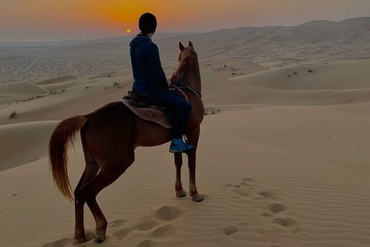 Doha Arabian Horse Riding Adventure: Guided Desert Ride with Transfer