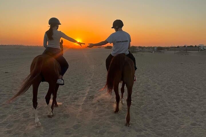 Doha Arabian Horse Riding Adventure: Guided Desert Ride with Transfer photo 3