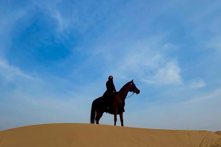 Doha Arabian Horse Riding Adventure: Guided Desert Ride with Transfer photo 4