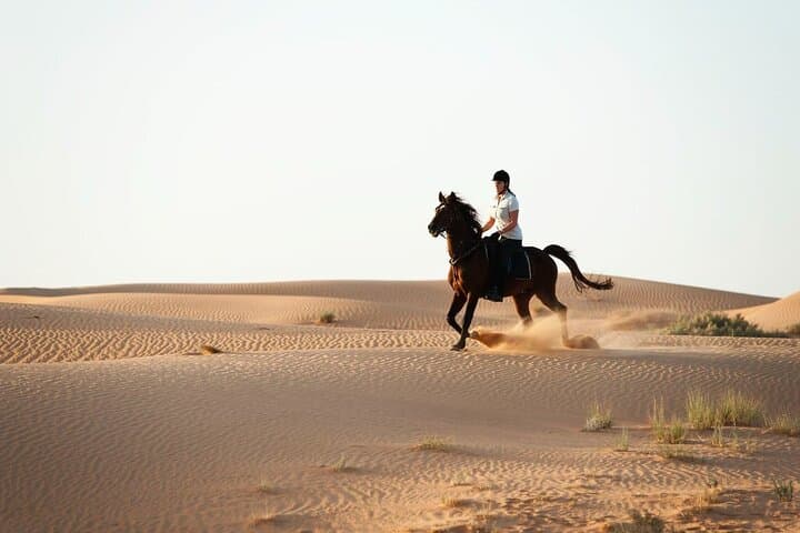 Doha Arabian Horse Riding Adventure: Guided Desert Ride with Transfer photo 5