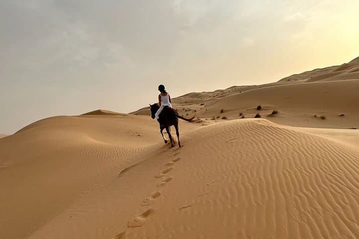 Doha Arabian Horse Riding Adventure: Guided Desert Ride with Transfer photo 6