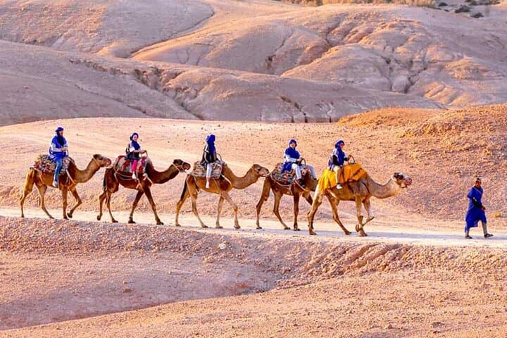 Sunset Camel Ride and Berber Dinner in Agafay Desert Near Marrakech photo 3