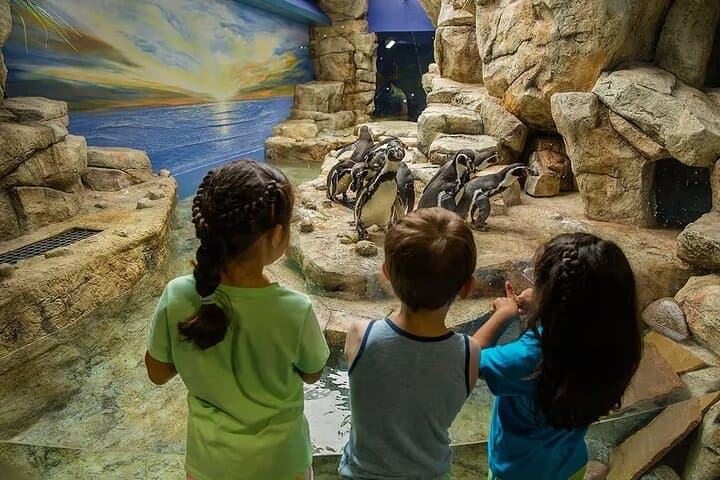 Moody Gardens One Day Value Pass: Galveston Aquarium, Rainforest & Adventure Guide photo 6