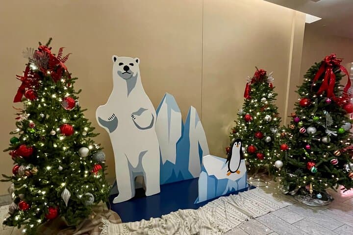 Explore Chicago's Pedway: Holiday Walking Tour from Swissotel to Millennium Park photo 4
