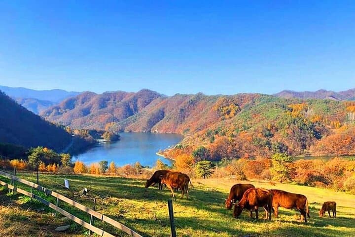 Seoul Day Trip: Nami Island, Samaksan Cable Car & Chuncheon Santorini Skydeck photo 2