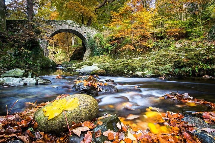 Private Mourne Mountains Day Tour from Belfast — Silent Valley, Tollymore & Coastal Lunch photo 4