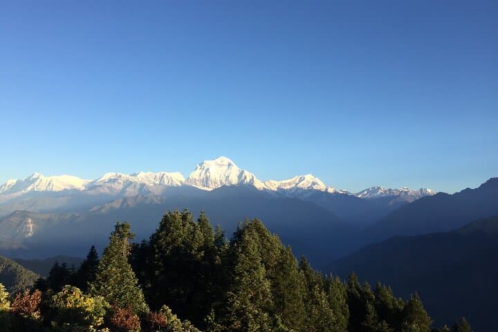 Poon Hill and Mardi Himal Trek: Sunrise Annapurna Views and Forested High Camps photo 5