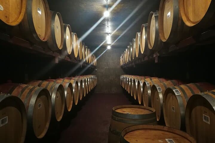 Hawkes Bay Wine Tour — Explore New Zealand's Great Wine Capital photo 3