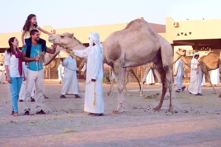 Camel Ride in Sharm El Sheikh: 1-Hour Desert Experience with Bedouin Guides photo 5