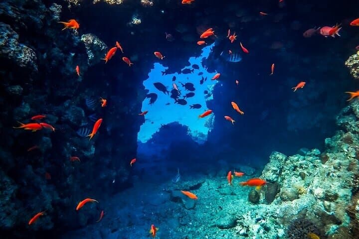 Blue Hole Snorkeling, Camel Ride & Bedouin Lunch from Sharm el-Sheikh photo 4