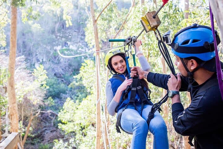 Cape Town Zipline Adventure — Kirstenbosch & Table Mountain Aerial Tour