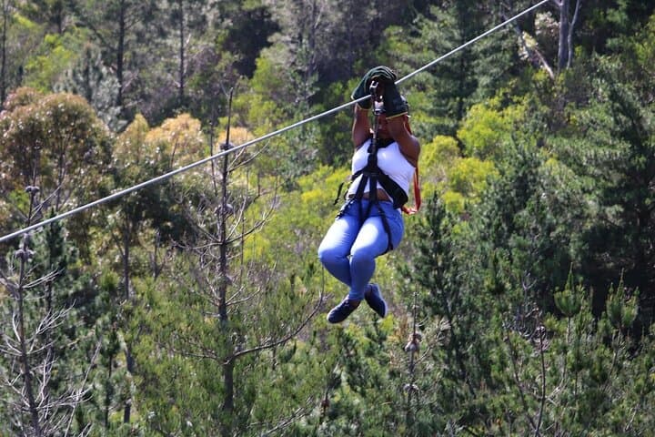 Cape Town Zipline Adventure — Kirstenbosch & Table Mountain Aerial Tour photo 6