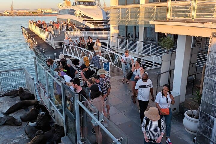 Robben Island Ferry and Guided Prison Tour: Visit Mandela’s Cell and Table Bay Views photo 3