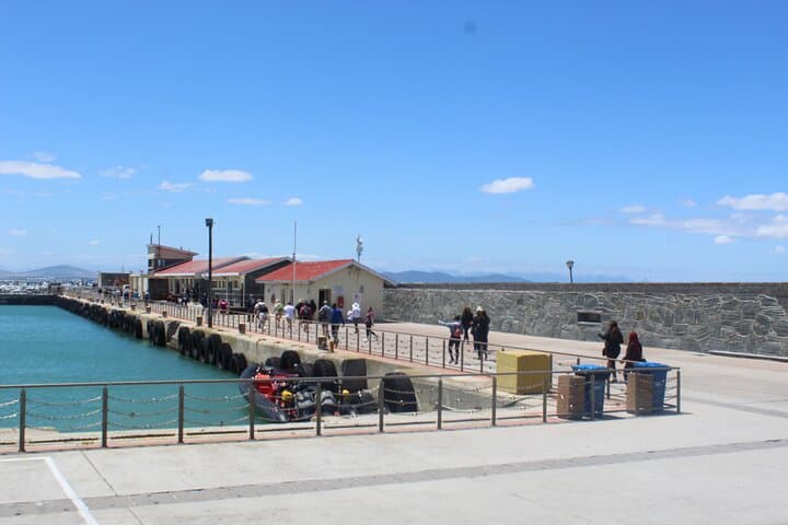 Robben Island Ferry and Guided Prison Tour: Visit Mandela’s Cell and Table Bay Views photo 6