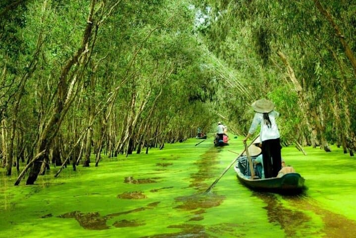 7-Day Vietnam Highlights: Saigon to Halong Bay Adventure photo 3