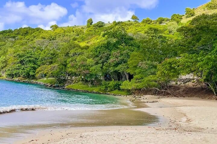 Speedboat and Fort Rodney: 3-Hour Sea & Land Adventure from Castries photo 2