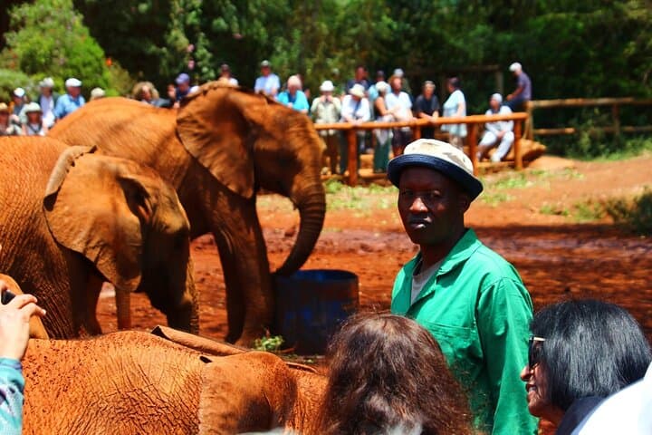 Nairobi City Tour with Giraffe Centre & Elephant Orphanage - 5-Hour Cultural and Wildlife Experience photo 4