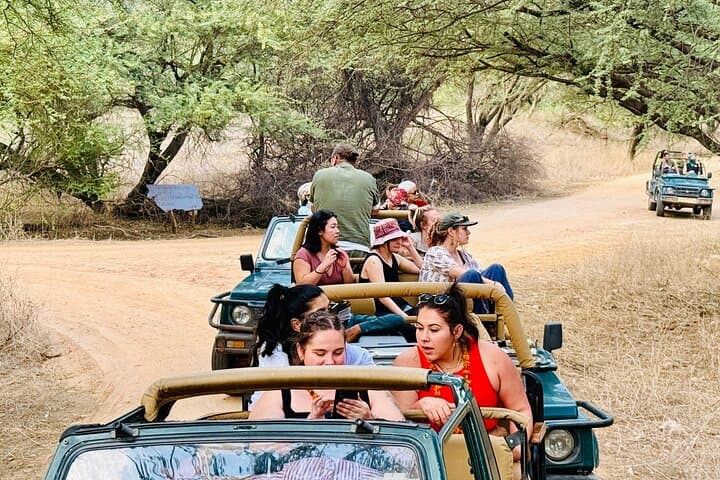 Private Gypsy Safari to Jhalana Leopard Reserve from Jaipur photo 2