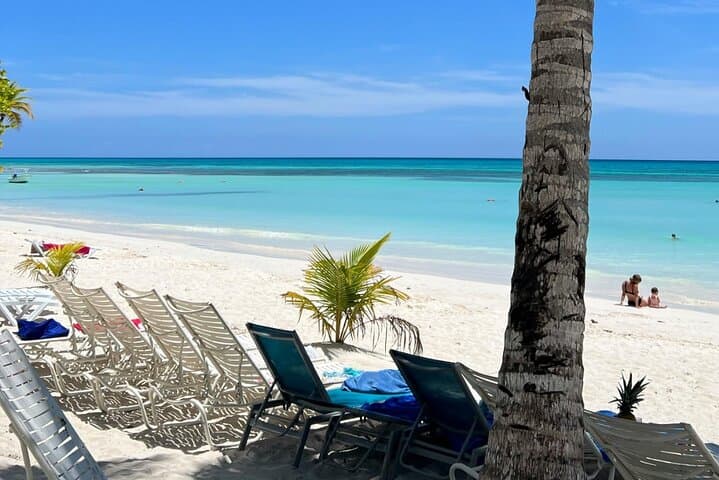 Saona Island Catamaran: Natural Pool, Beach Time & Open-Bar Cruise