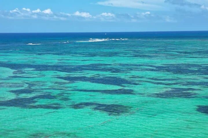 Saona Island Catamaran: Natural Pool, Beach Time & Open-Bar Cruise photo 2