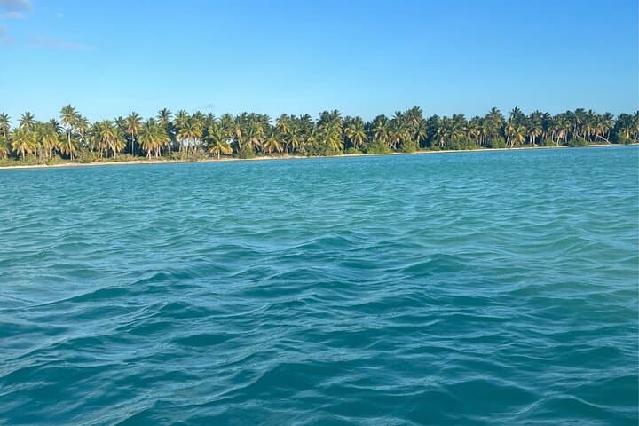 Saona Island Catamaran: Natural Pool, Beach Time & Open-Bar Cruise photo 3