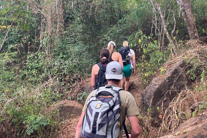 Monkey Mountain Hike from Sayulita: Summit Sunset & Jungle Trails photo 2